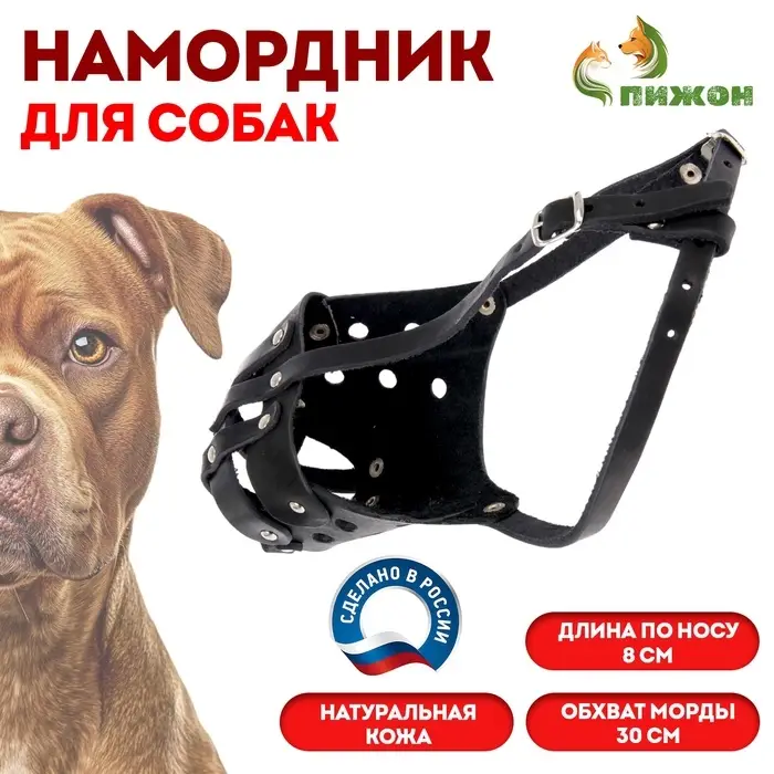 Намордник кожаный цельнокроенный, питбультерьер, ДН 8 см, ОМ 30 см, чёрный