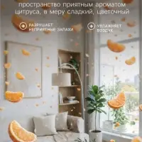 Сменный баллон для автоматического освежителя Alpen, Ароматный вернисаж 250 мл