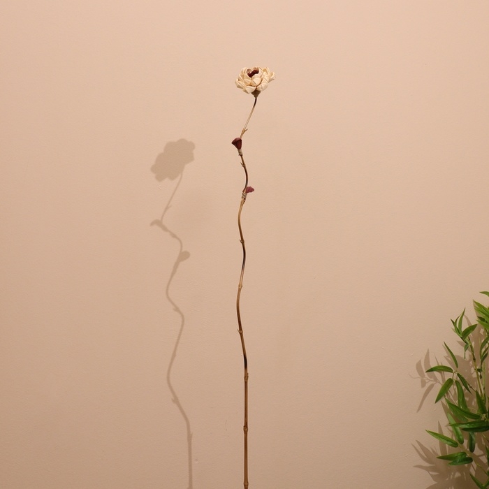 Сухоцвет на бамбуковом стебле 150 см белый Сухоцвет на бамбуковом стебле 150 см белый