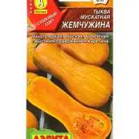 Семена Тыква мускатная Жемчужина, Ц/П,1 г