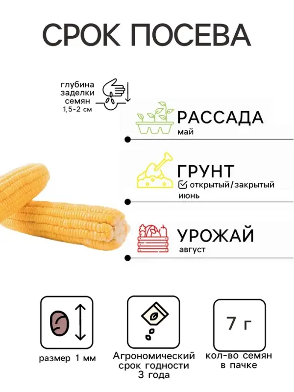 Семена Кукуруза сахарная &laquo;Ранняя лакомка 121&raquo;, 7 г, раннеспелая, &laquo;Аэлита&raquo;