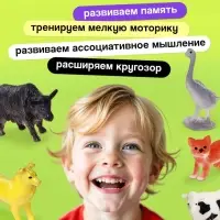 Развивающий набор &laquo;Домашние животные&raquo;, по методике Домана, 9 карточек, 3-6 лет