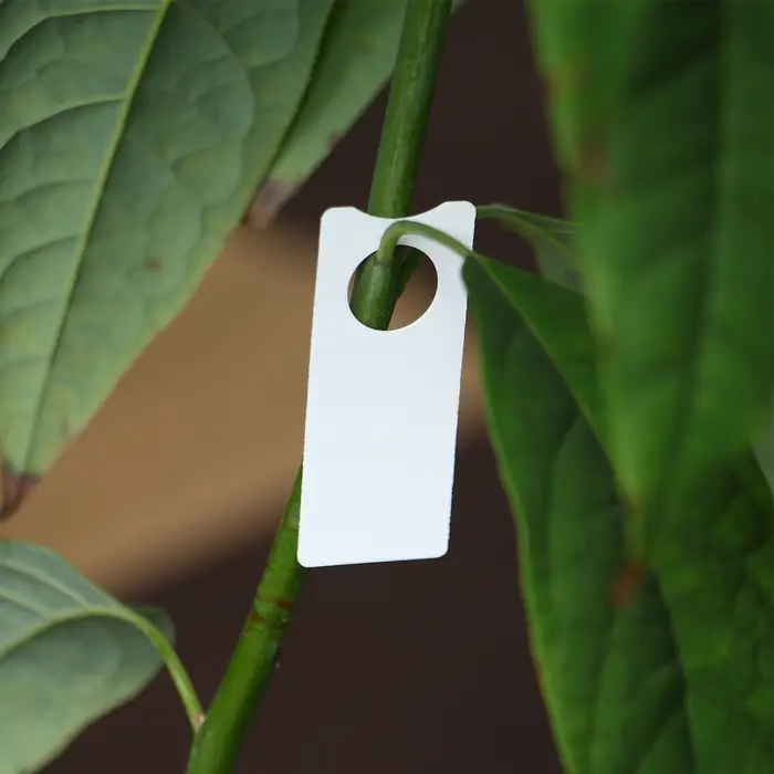 Бирки садовые, для маркировки растений, 5×2 см, набор 20 шт., пластик, МИКС, Greengo