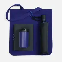 Набор Flexpen Black Walk, черный с синим