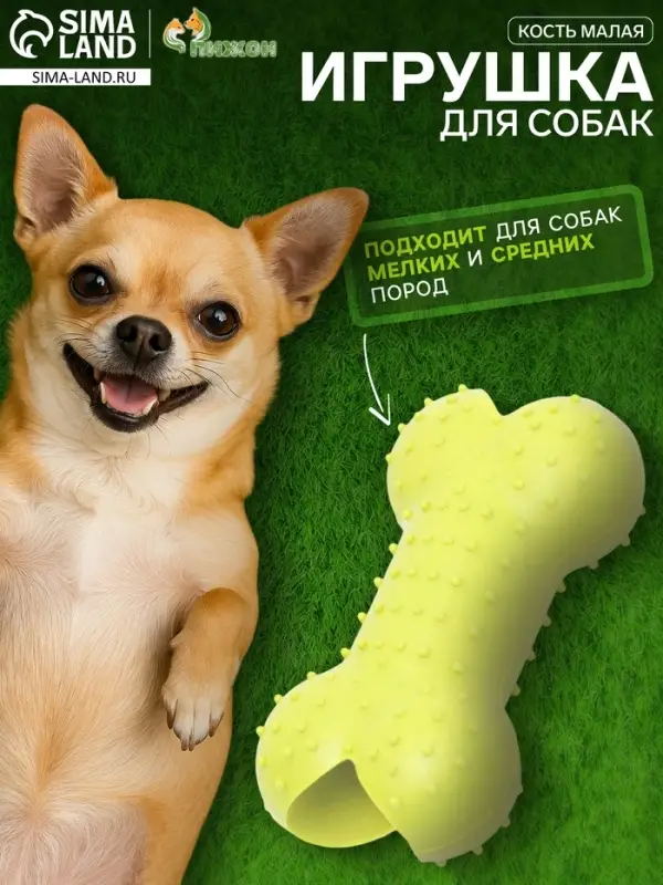 Жевательная игрушка для собак &laquo;Кость малая&raquo;, 8.5 см, TPR, салатовая
