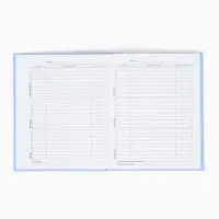 Дневник школьный 1-11 класс, универсальный, 40 л.