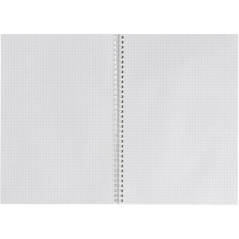 Бизнес-тетрадь Attache Cristal,80л,клет,А4,спир,обл.мел.карт