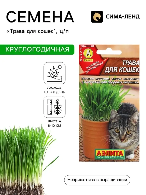 Семена &laquo;Трава для кошек&raquo;, 20 г, &laquo;Агрофирма АЭЛИТА&raquo;