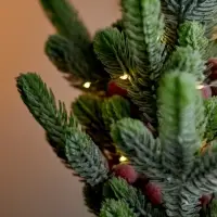 Фигура светодиодная "Морозное утро" 36 см, 20 LED, AG13х3 (в компл.), БЕЛЫЙ