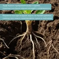 Таблетки торфяные, для рассады, d=3.6 см, с оболочкой, набор 50 шт.