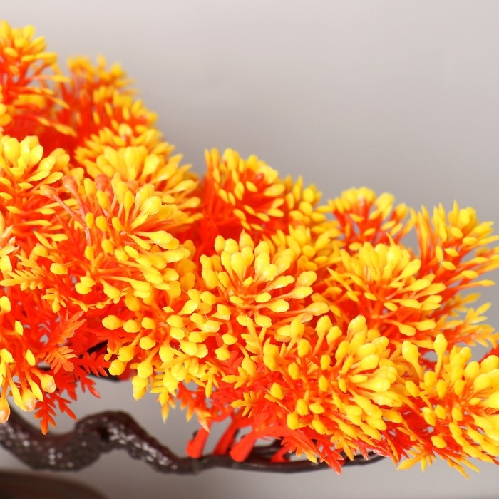 Бонсай Бонсай "Звёздник" 16х22 см, микс