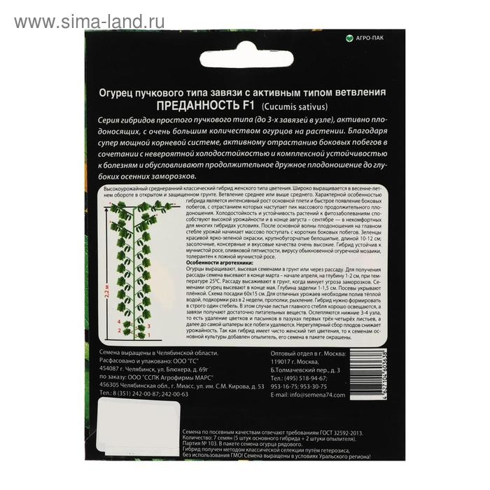 Семена Огурец Семена Огурец "Преданность" F1 пучкового типа завязи, партенокарпический, 7 шт