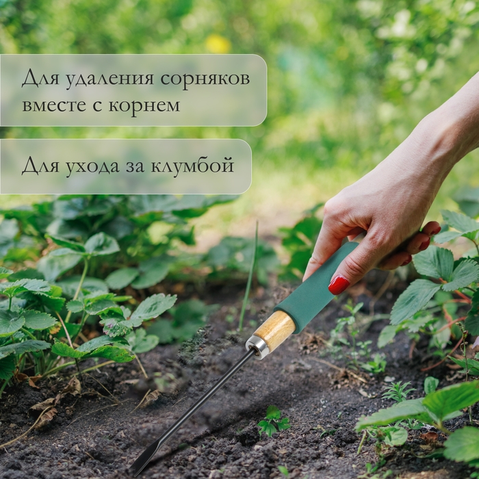 Корнеудалитель, длина 30 см, деревянная ручка с поролоном, Greengo Корнеудалитель, длина 30 см, деревянная ручка с поролоном, Greengo