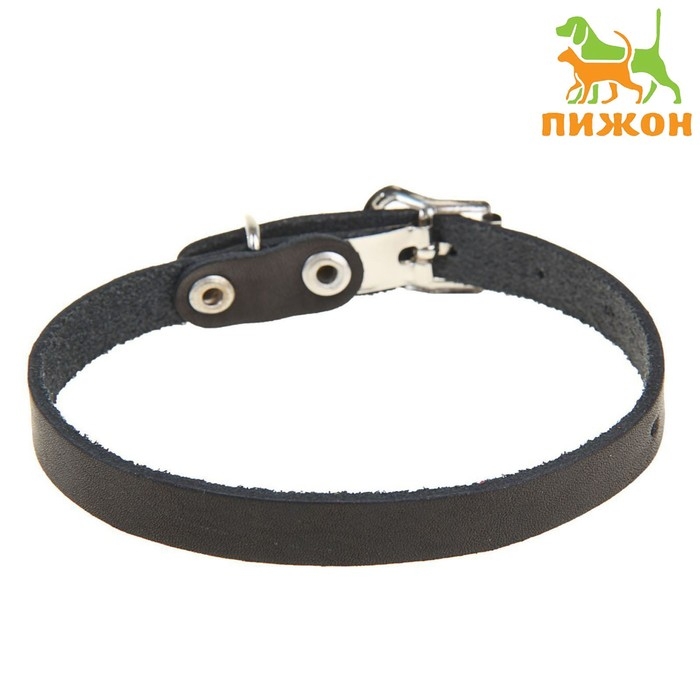 Ошейник кожаный однослойный, 30 х 1 см, ОШ 19-27 см, черный Ошейник кожаный однослойный, 30 х 1 см, ОШ 19-27 см, черный