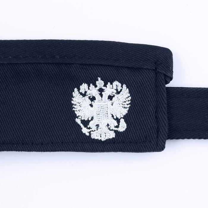 Козырек «President», цвет синий Козырек «President», цвет синий