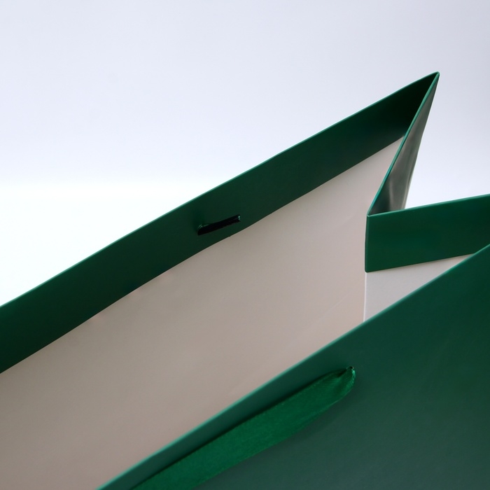 Пакет ламинированный вертикальный "Изумрудный", XXL  46 х 61 х 20 см