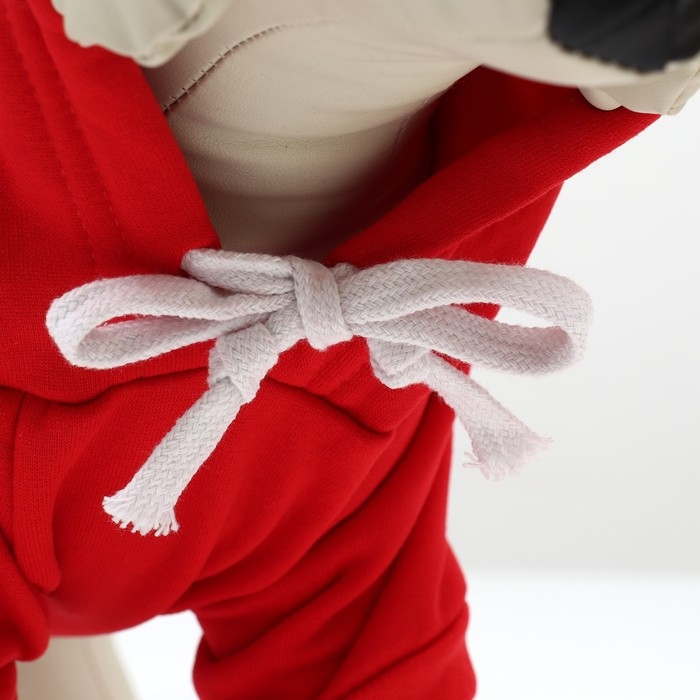 Толстовка "Яблочко", размер ХS (ДС 20, ОГ 32см)