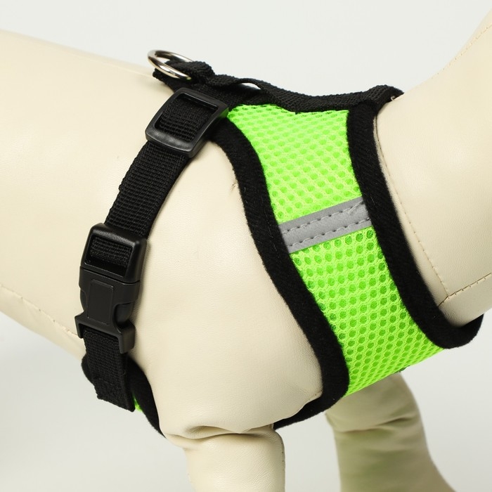 Комплект амуниции с мягкой шлейкой и светоотражающей нашивкой, XL, ОШ 40 см, ОГ 46-60 см, зелёный, 7 Комплект амуниции с мягкой шлейкой и светоотражающей нашивкой, XL, ОШ 40 см, ОГ 46-60 см, зелёный, 7