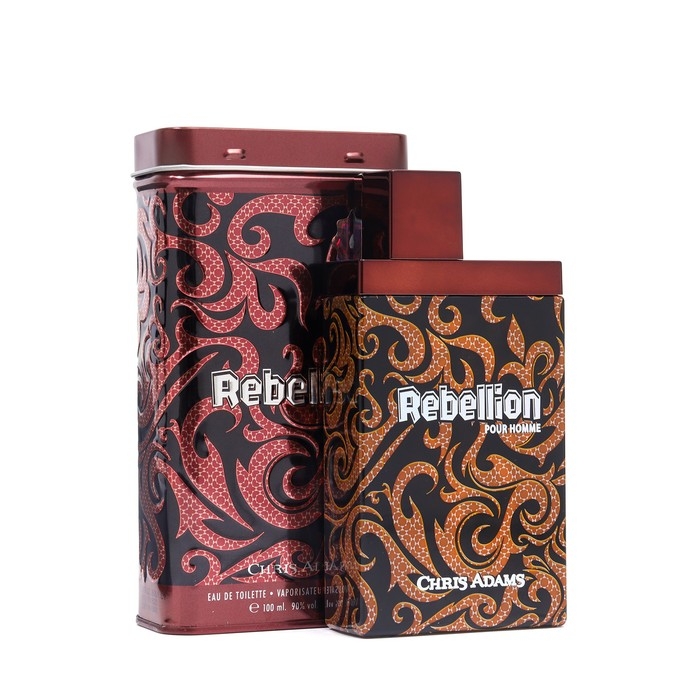 Туалетная вода мужская Chris Adams Rebellion, 100 мл Туалетная вода мужская Chris Adams Rebellion, 100 мл