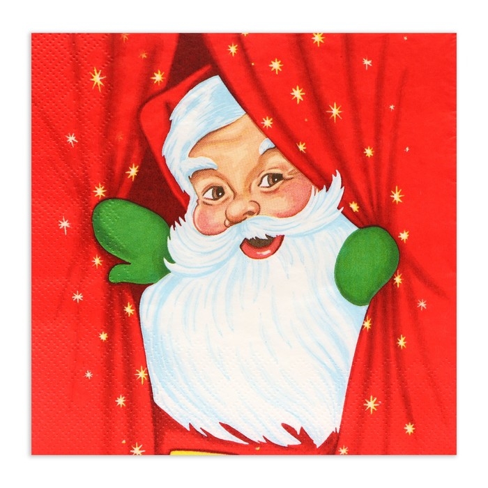 Новогодние салфетки бумажные Home Collection Сlassic «Новогоднее представление», 3 слоя, 33х33 см, 20 шт Новогодние салфетки бумажные Home Collection Сlassic «Новогоднее представление», 3 слоя, 33х33 см, 20 шт