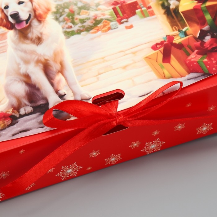 Коробка подарочная новогодняя складная двухсторонняя «Зима подарит чудеса», 20 х 18 х 5 см, Новый год Коробка подарочная новогодняя складная двухсторонняя «Зима подарит чудеса», 20 х 18 х 5 см, Новый год