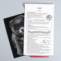 Гравюра на подложке &laquo;Шпиц&raquo; с металлическим эффектом &laquo;серебро&raquo; А4