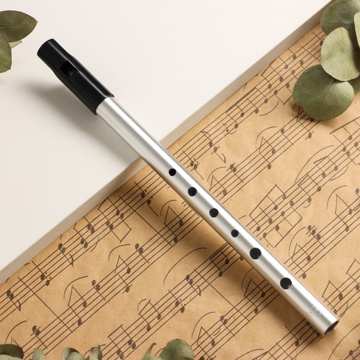 Флейта Music Life Е, серебристая, 27,5 см Флейта Music Life Е, серебристая, 27,5 см