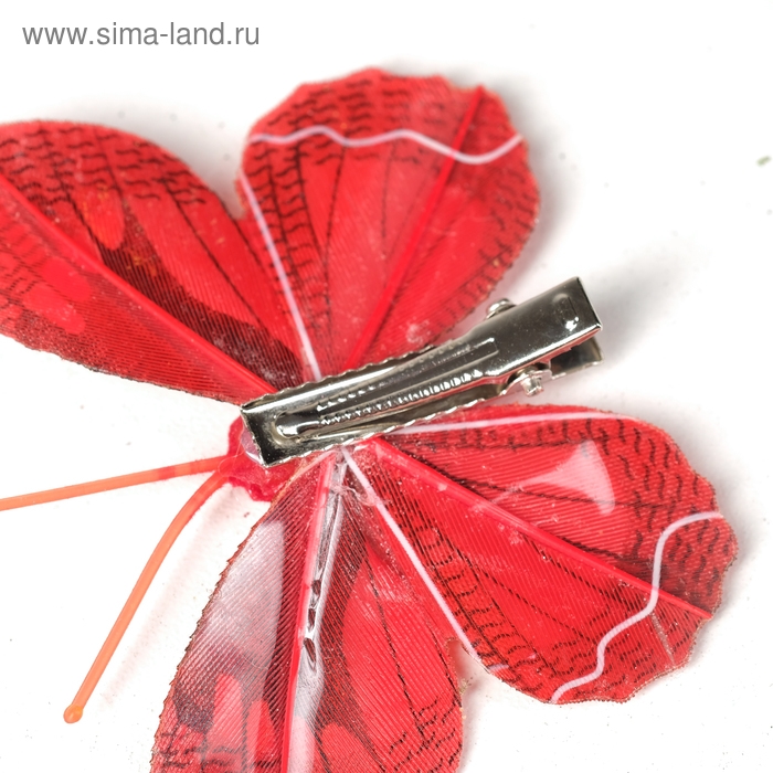 Бабочка для декора и флористики, на прищепке, пластиковая, микс, 1 шт., 7,5 х 5 х 1 см Бабочка для декора и флористики, на прищепке, пластиковая, микс, 1 шт., 7,5 х 5 х 1 см