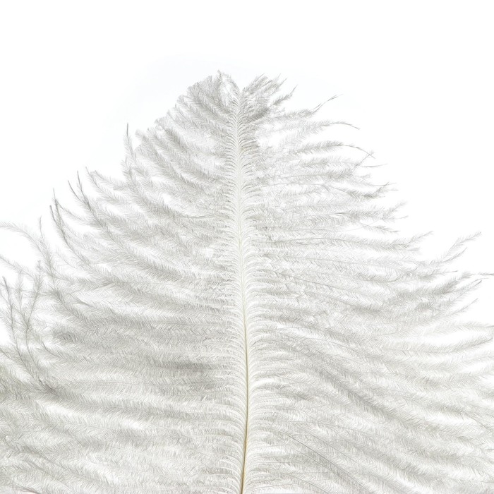Перо для декора 1 шт., длина от 45 до 60 см, цвет белый Перо для декора 1 шт., длина от 45 до 60 см, цвет белый