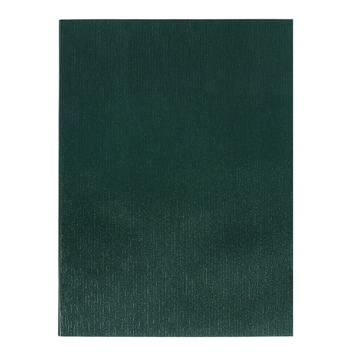 Тетрадь А4 96 листов в клетку Calligrata VIGO бумвинил VA0505 (Soft-touch), зелёный, блок офсет Тетрадь А4 96 листов в клетку Calligrata VIGO бумвинил VA0505 (Soft-touch), зелёный, блок офсет