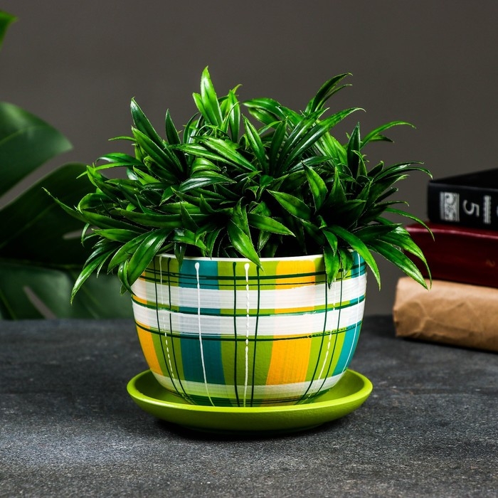 Горшок цветочный Горшок цветочный "Английская клетка" разноцветный, 0,5 л