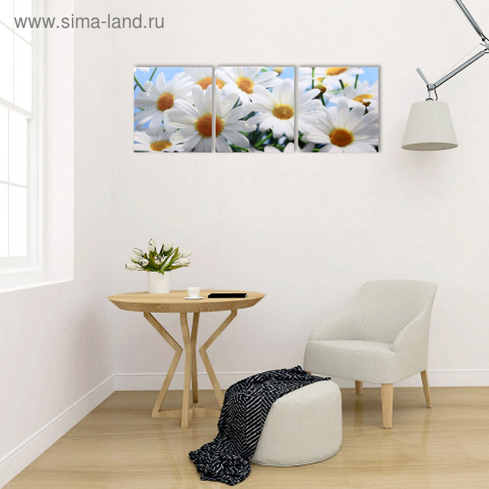 Модульная картина  Модульная картина "Белые ромашки" (3-35х35) 35х105 см