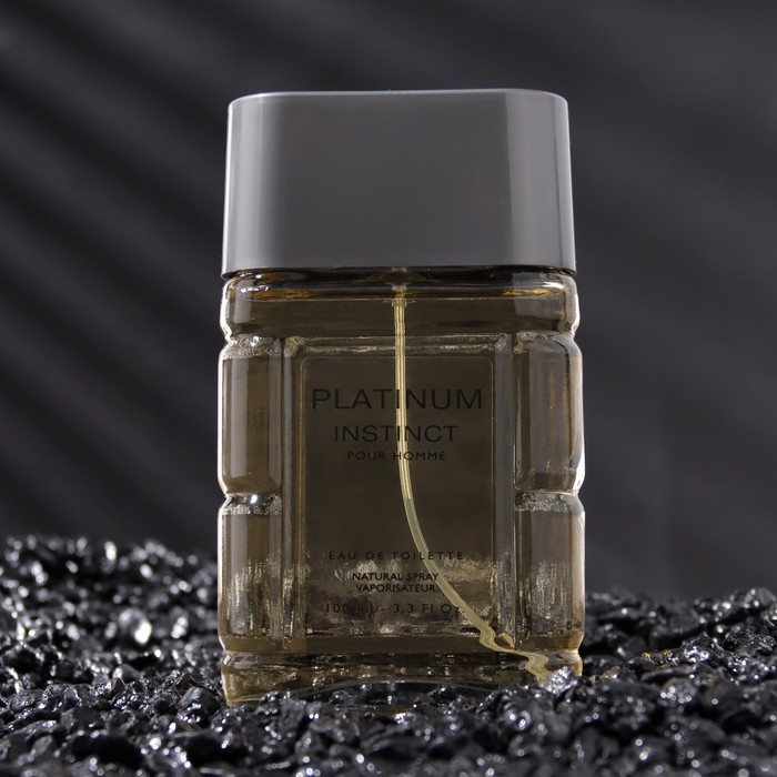 Туалетная вода мужская Instinct Platinum, 100 мл (по мотивам Egoiste Platinum (Chanel) Туалетная вода мужская Instinct Platinum, 100 мл (по мотивам Egoiste Platinum (Chanel)