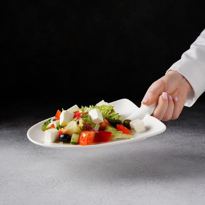 Блюдо фарфоровое Magistro «Бланш», 24×18×4,5 см, цвет белый