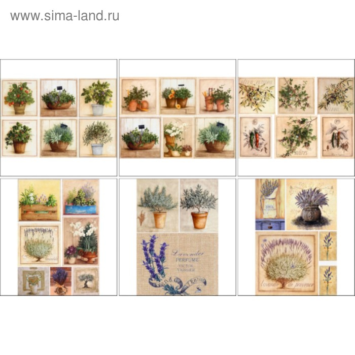 Набор декупажных карт 6 шт «Травы Прованса» Набор декупажных карт 6 шт «Травы Прованса»