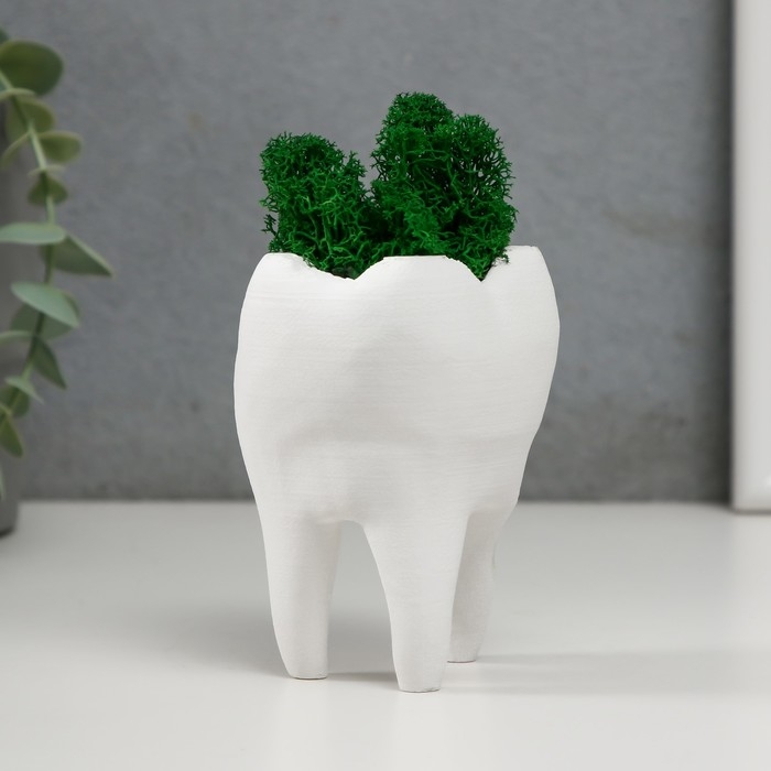 Кашпо бетонное Кашпо бетонное "Зуб" со мхом белый 7,5х6,5х9,5 см (мох зеленый стабилизированный)