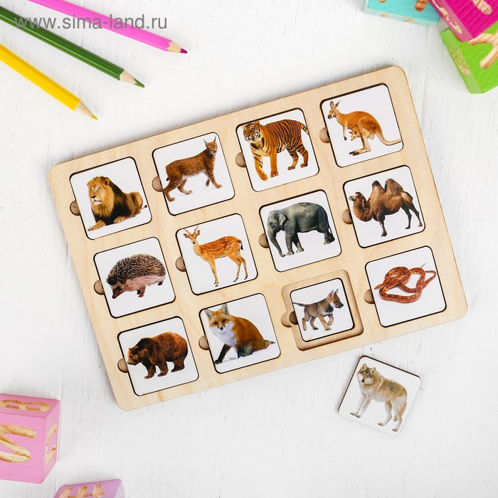 Секретики «Зоопарк» Секретики «Зоопарк»