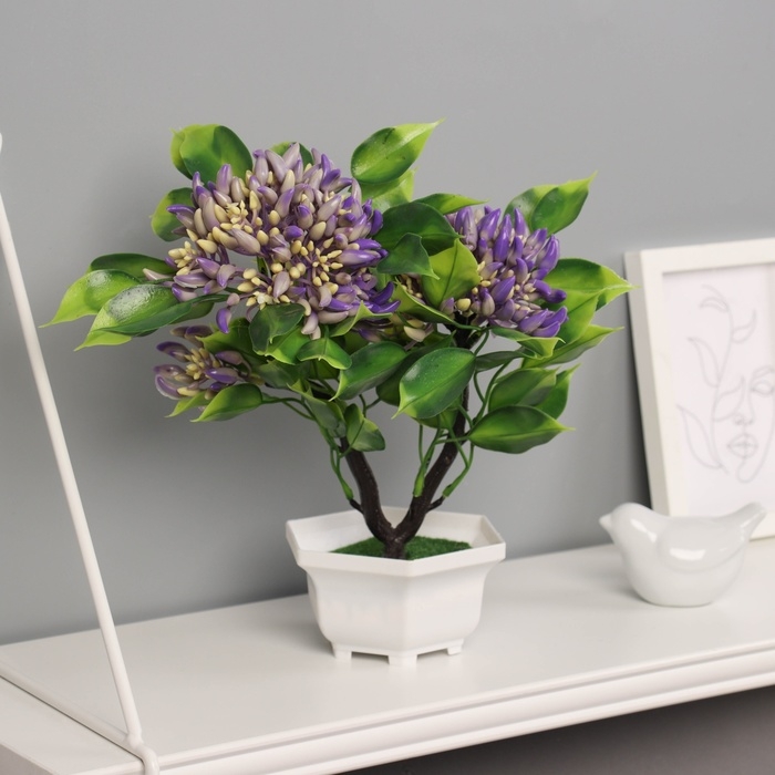 Бонсай в горшке Бонсай в горшке "Ашока комнатная" 23х11 см, микс