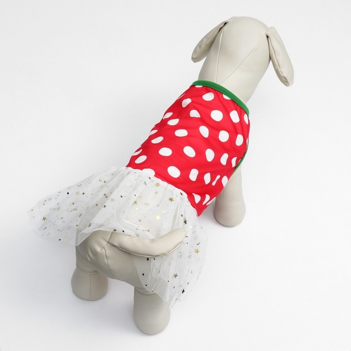 Костюм для животных Костюм для животных "Фея", размер S (ДС 27, ОГ 38, ОШ 25 см), красно-белый