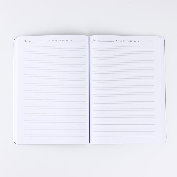 Ежедневник А5+, 100 л. Мягкая обл. Софт-тач Ежедневник А5+, 100 л. Мягкая обл. Софт-тач "Власть и успех"