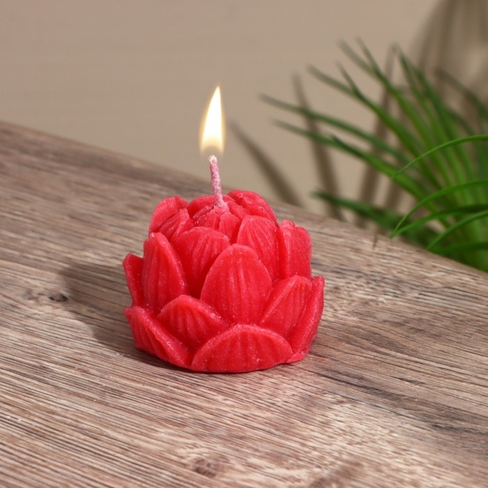 Свеча  Свеча "Лотос" 5х5х6 см, соевый воск