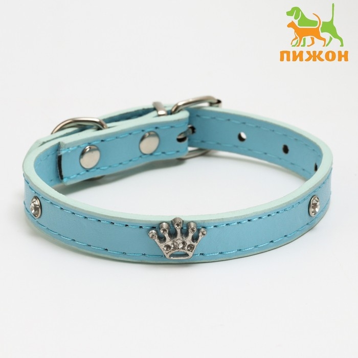 Ошейник Ошейник "Корона" с металлическим декором и со стразами, 36 х 1,4 см, ОШ 24-31, голубой