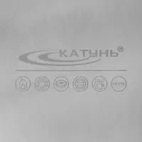 Котёл Катунь &laquo;Общепит&raquo;, 40 л, d=40 см, h=35 см, с крышкой, нержавеющая сталь, хромированная