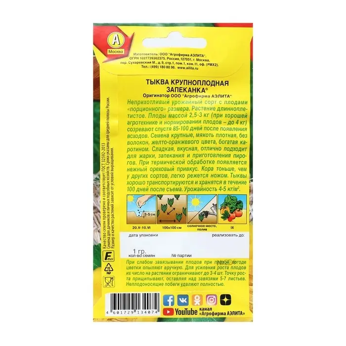 Семена Тыква крупноплая Семена Тыква крупноплая "Запеканка", 1 г