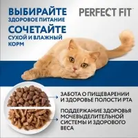 Сухой корм Perfect Fit для домашних кошек, курица, 650 г
