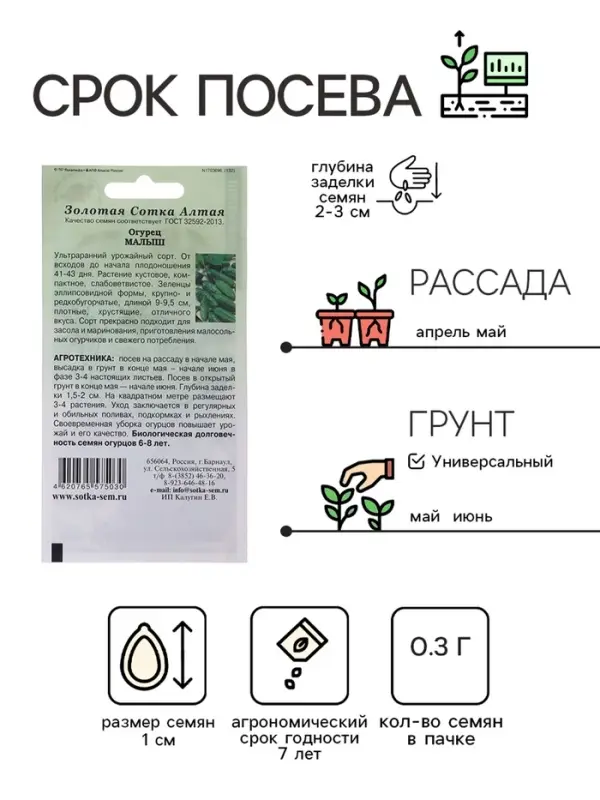 Семена Огурец Семена Огурец "Малыш", ультраранний, 0,3 г