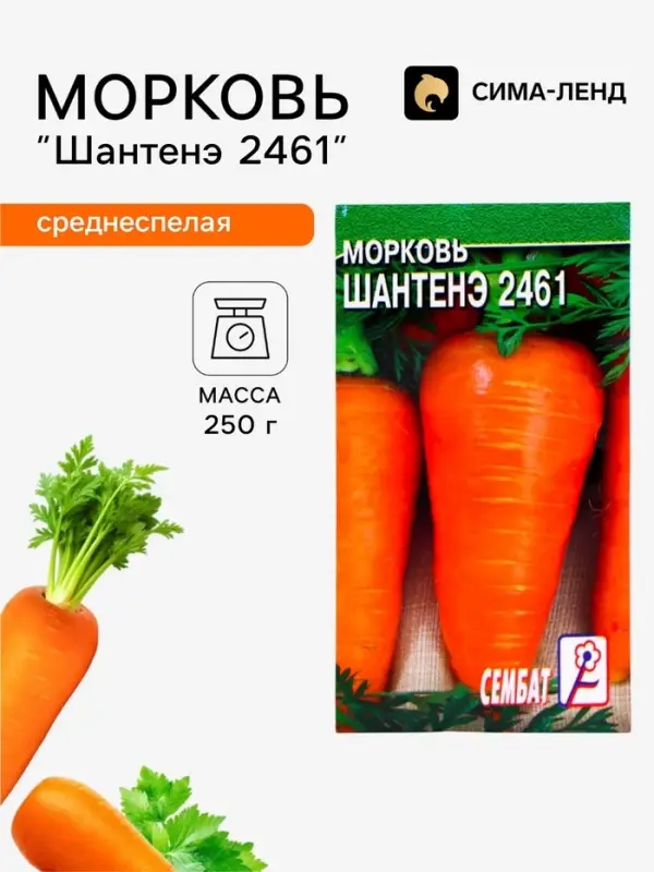 Семена Морковь &laquo;Шантенэ 2461&raquo;, 0.5 г, &laquo;Сембат&raquo;