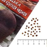 Семена Редька &laquo;Зимняя&raquo; круглая, чёрная, 1 г, &laquo;Агрофирма АЭЛИТА&raquo;