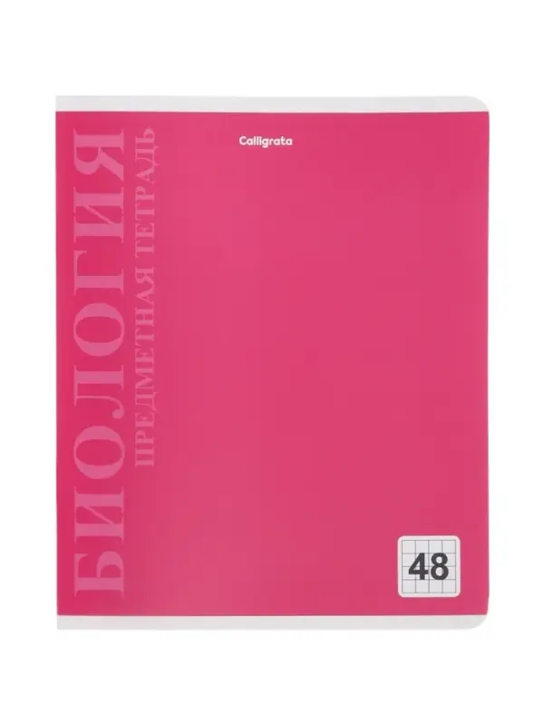 Комплект 12 предметных тетрадей 48 листов, справочная информация, 60гр, пластиковая обложка   109633