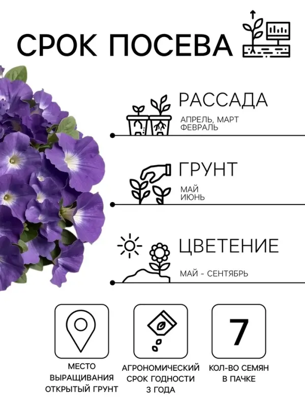 Семена Цветов Петуния &laquo;Мамбо&raquo; F1, небесно-голубая, пробирка, 7 шт.